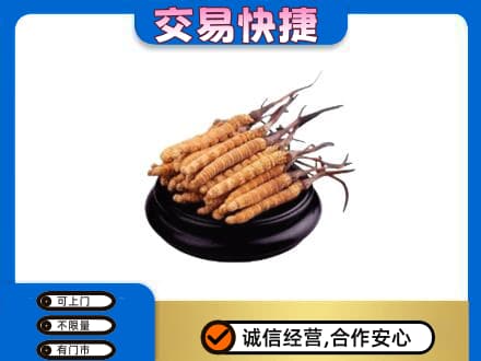 黄山礼品回收散虫草.jpg